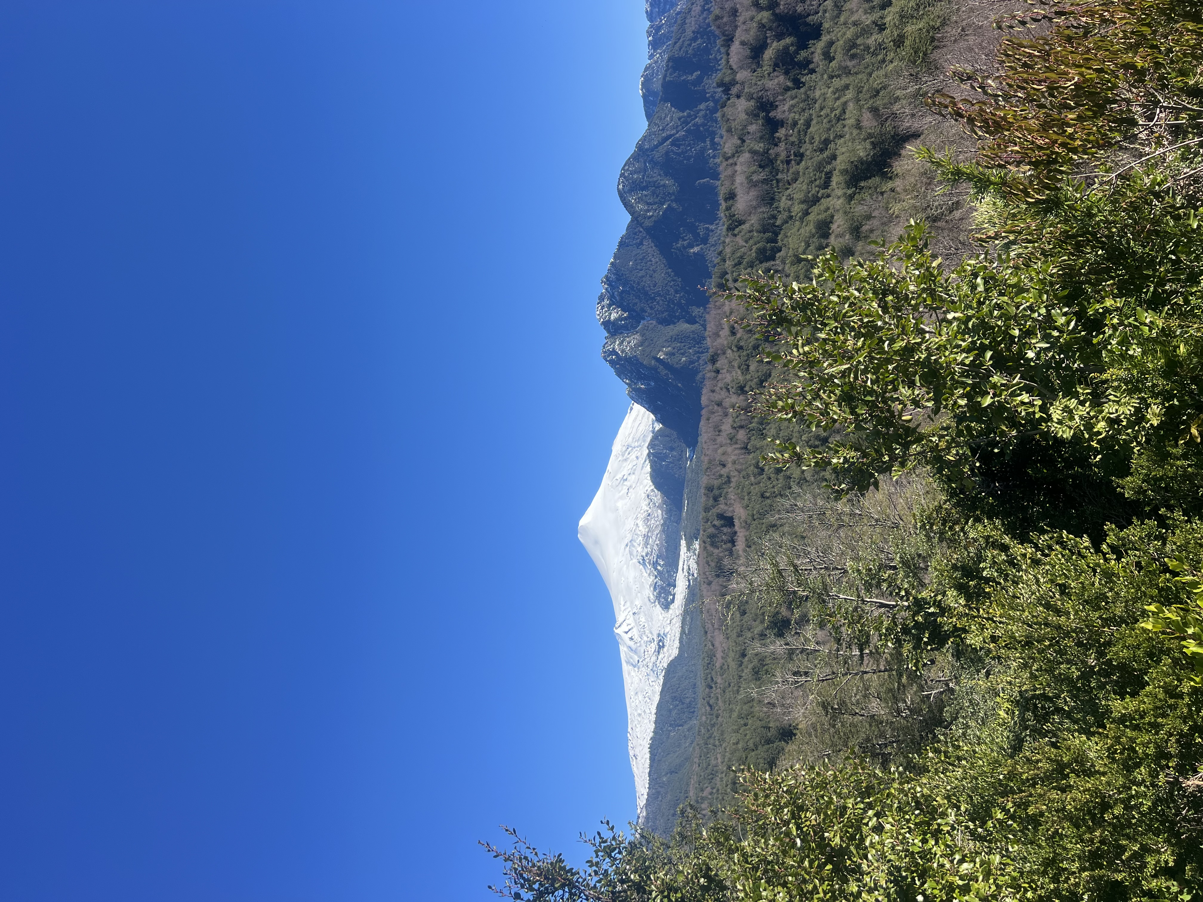 Venta / parcela vistas