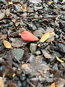 Parcelas / camino al volcán