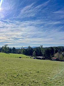 Campo con vista al lago y volcán
