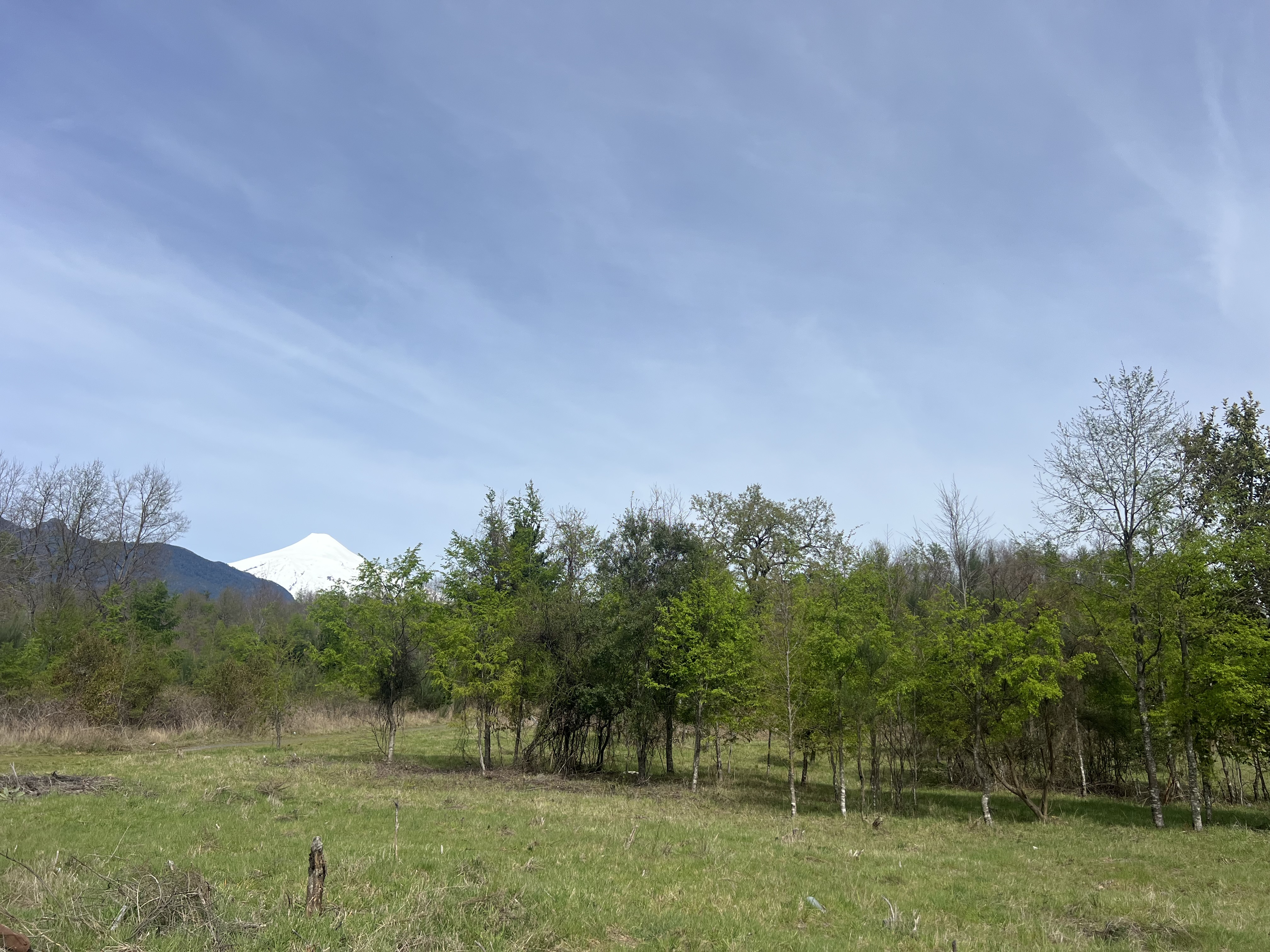 Venta / parcela a pasos rotonda “mall”