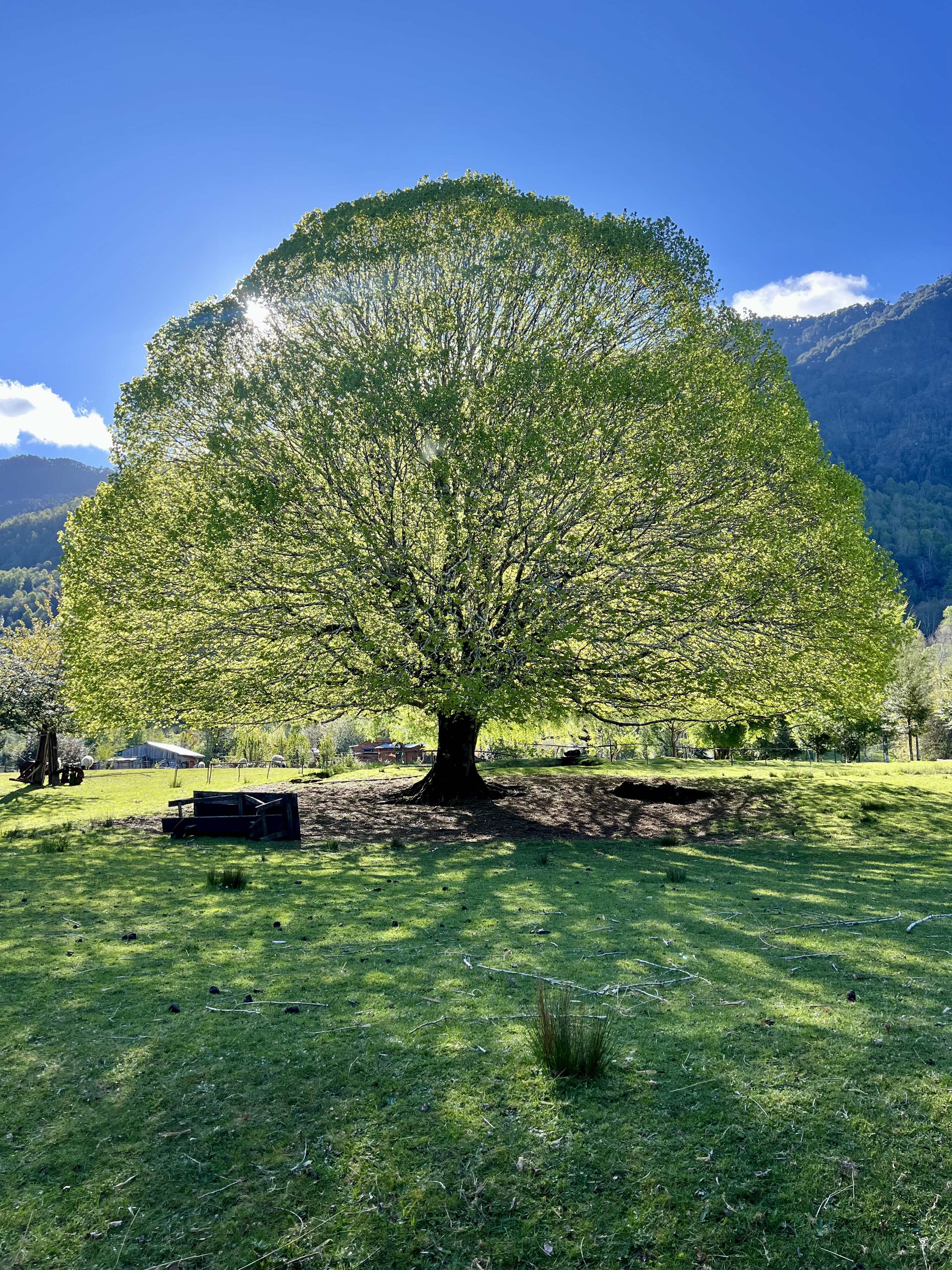 Arriendo/ casa orilla Liucura