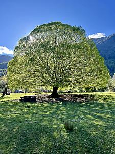 Arriendo/ casa orilla Liucura