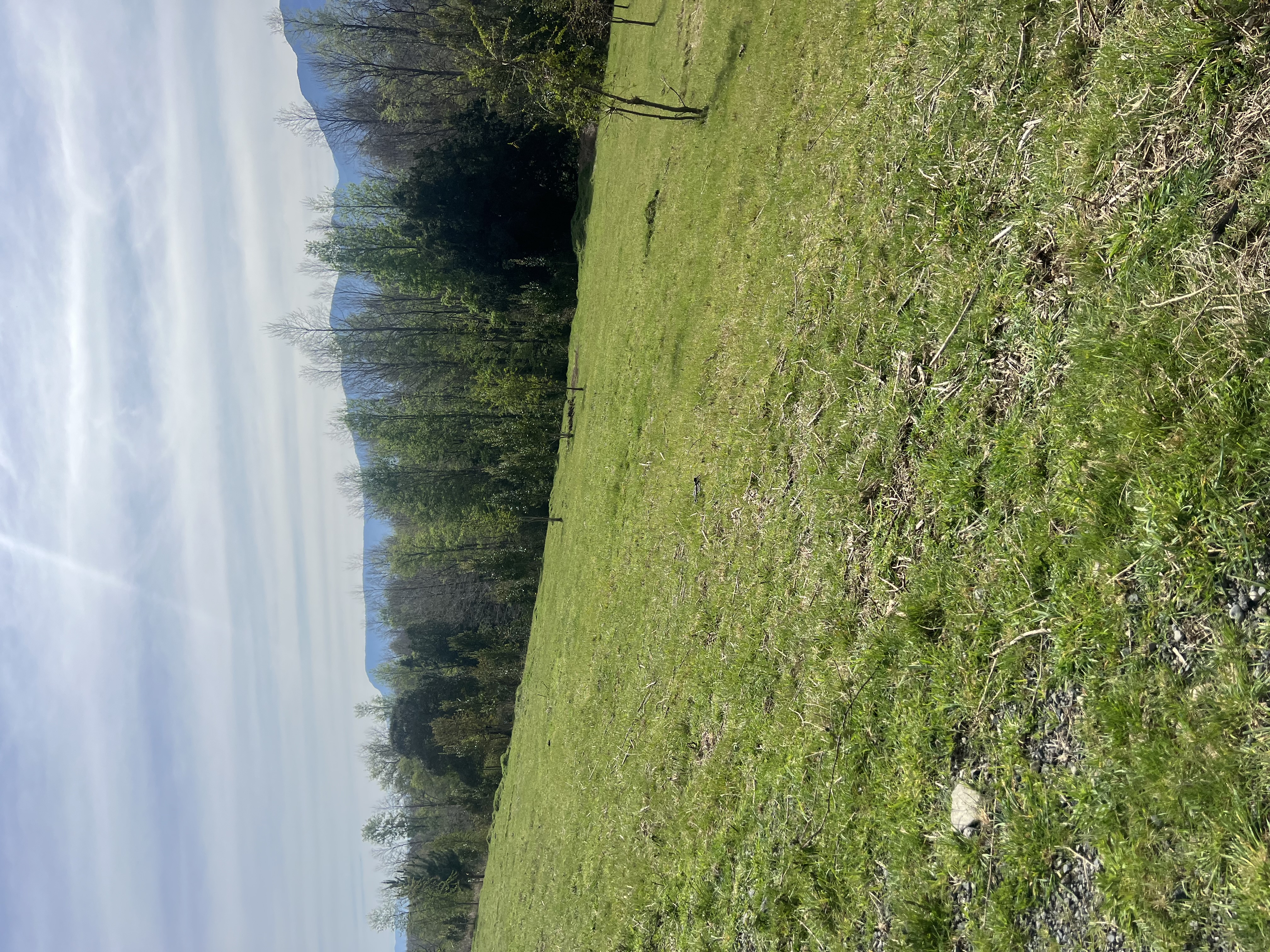 Venta / parcela con estero