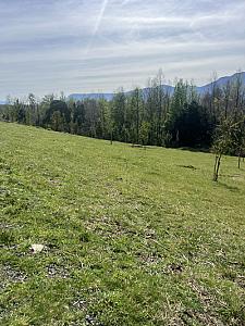 Venta / parcela con estero